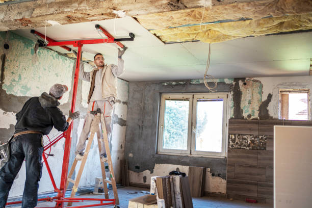 Best Commercial Insulation in Meeker, CO